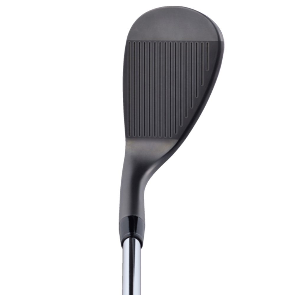 EPON/TOUR WEDGE TYPE L ウェッジ/N.S.PRO MODUS3 115(Wedge Flex)/56°-13