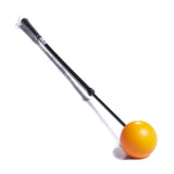 Orange Whip Trainer